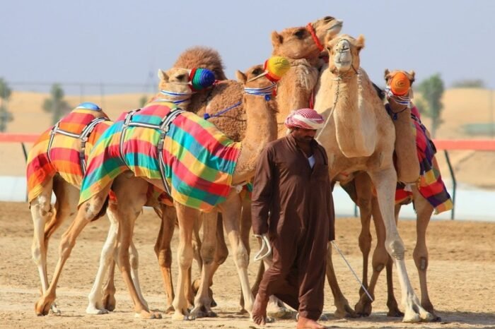 UNI0021 – Tour to Camel Market of Birqash